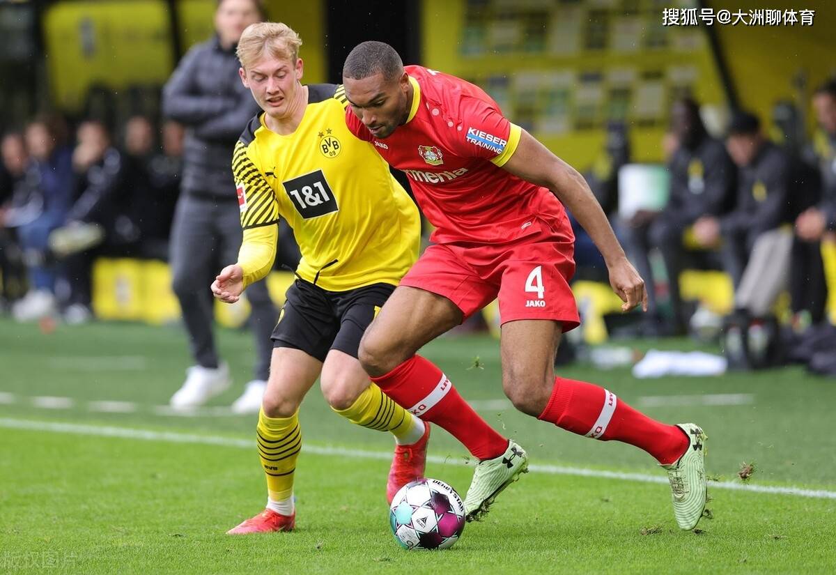 一竞技亚洲平台- 山东泰山队新外援浮出水面 