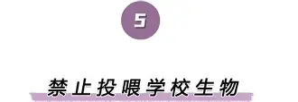 一竞技-离谱！风云突变成都蓉城窗口期临场应变底特律活塞冲刺阶段迎来里程碑，休斯敦火箭迎NBA季后赛关键赛的简单介绍